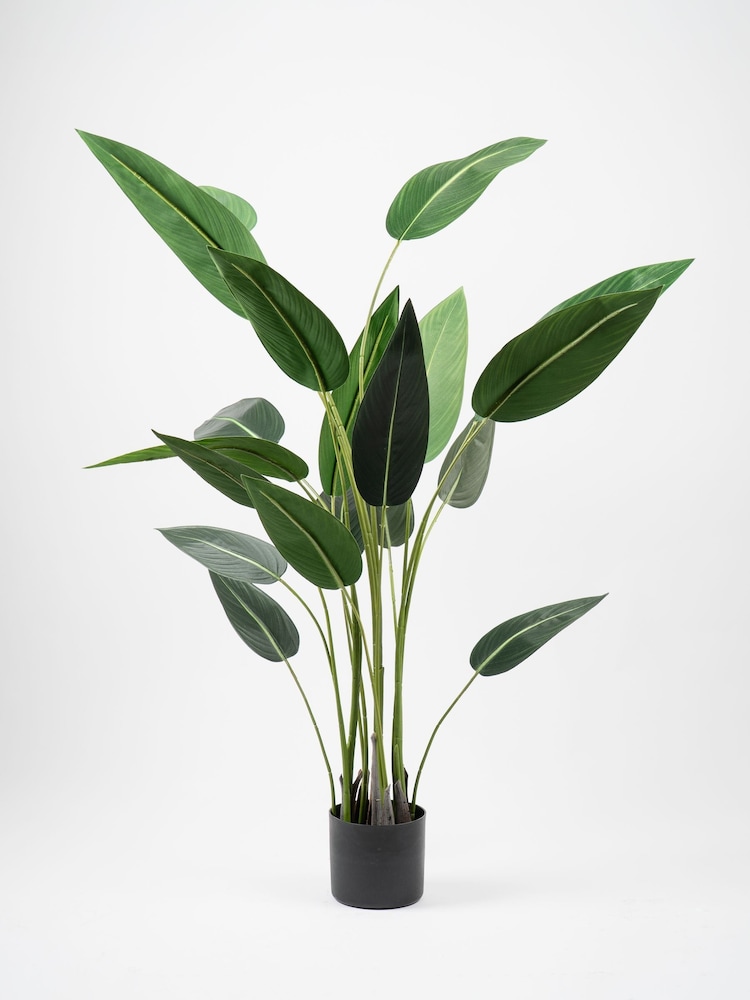 Scottish Everlastings Ltd Green Artificial Bird of Paradise Tree - Image 3 of 3 Scottish Everlastings Ltd Green Artificial Bird of Paradise Tree - Image 3 of 3