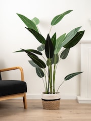 Scottish Everlastings Ltd Green Artificial Bird of Paradise Tree - Image 4 of 6