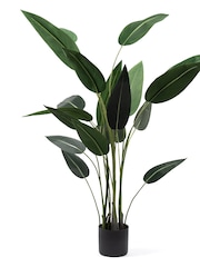Scottish Everlastings Ltd Green Artificial Bird of Paradise Tree - Image 5 of 6