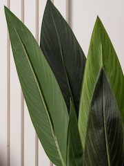Scottish Everlastings Ltd Green Artificial Bird of Paradise Tree - Image 6 of 6