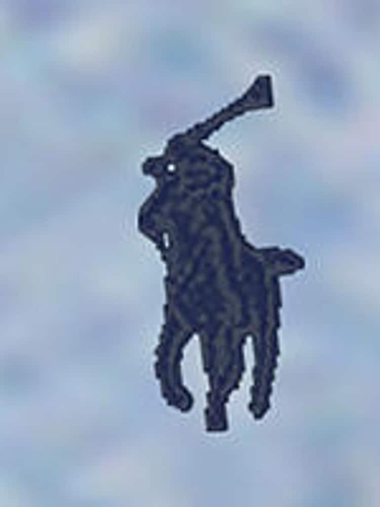 Polo Ralph Lauren Blue Oxford Logo Shirt - Image 7 of 7