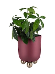 Present Time Dark Mauve Large Estilo Plant Pot - Image 1 of 2