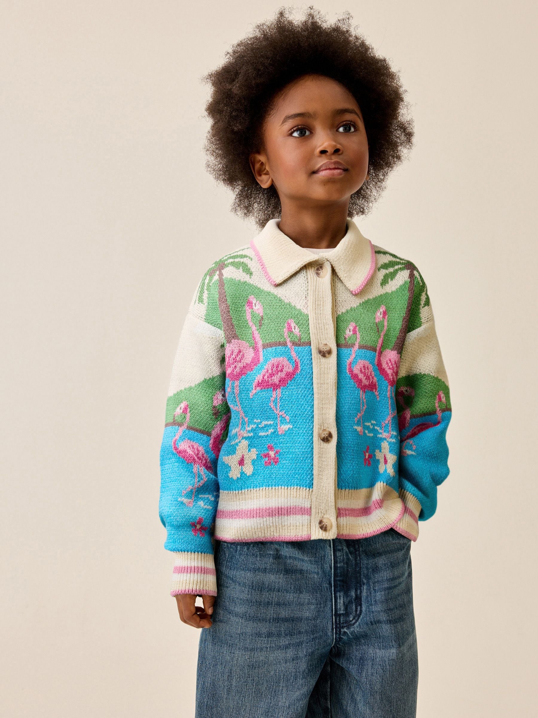 Buy Flamingo Printed Collared Cardigan (3-16yrs) from Next USA