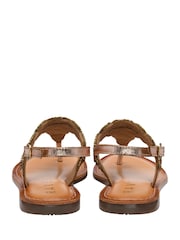 Ravel Gold Back Strap Toe Post Leather Sandals - Image 3 of 4