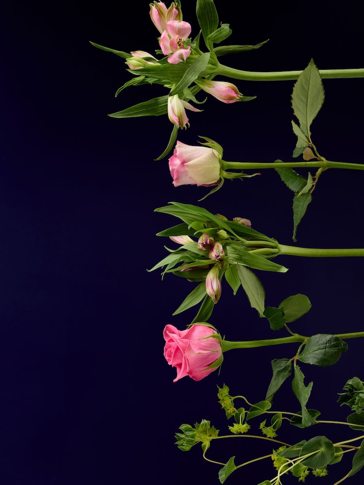 Rose and Alstromeria Flower Letterbox Bouquet - Image 6 of 6