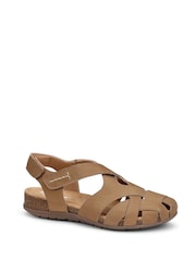 Hotter Brown Extra Wide Fit Carpa Touch Fastening Casual Sandals - Image 2 of 5
