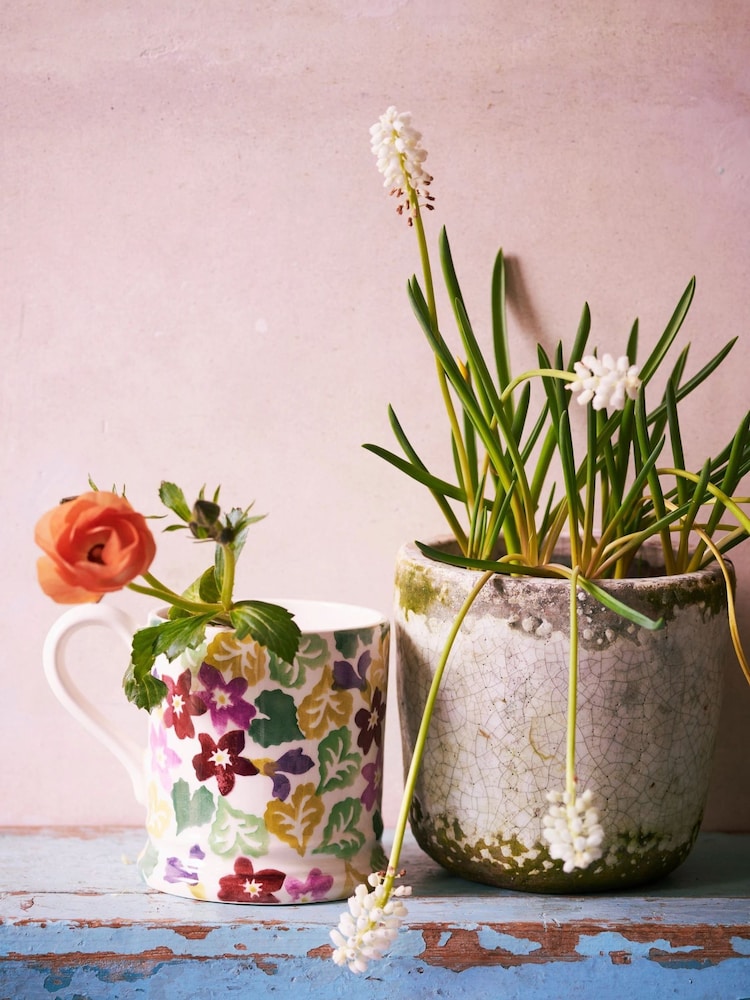 Taza de 1/2 pinta Sweet Violets de Emma Bridgewater - Imagen 1 de 5 Taza de 1/2 pinta Sweet Violets de Emma Bridgewater - Imagen 1 de 5