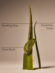 Bath & Body Works Cool Aloe Water Daily Moisturizing Hand Soap 266ml - Image 3 of 3