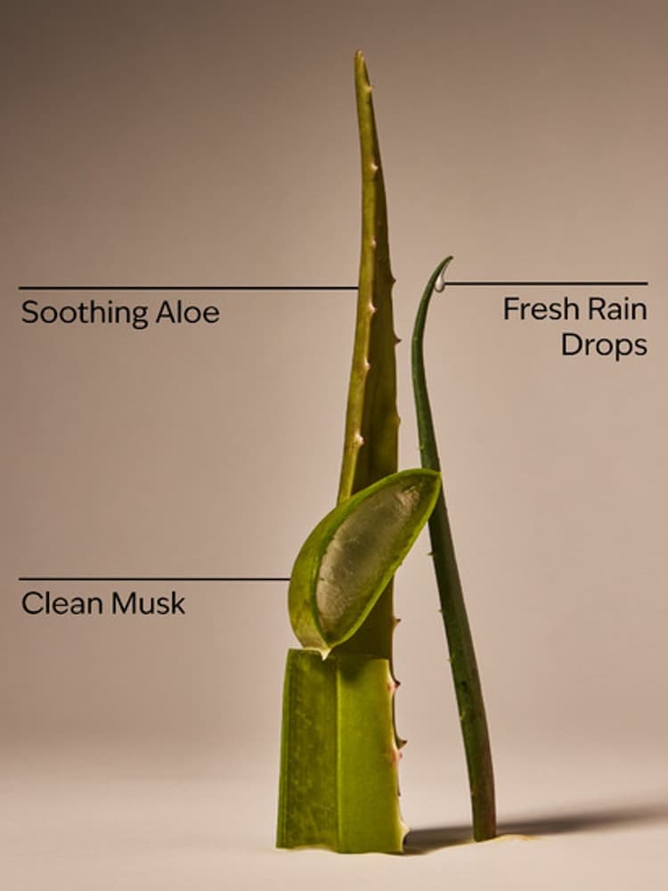 Bath & Body Works Cool Aloe Water Daily Moisturizing Hand Soap 266ml - Image 3 of 3