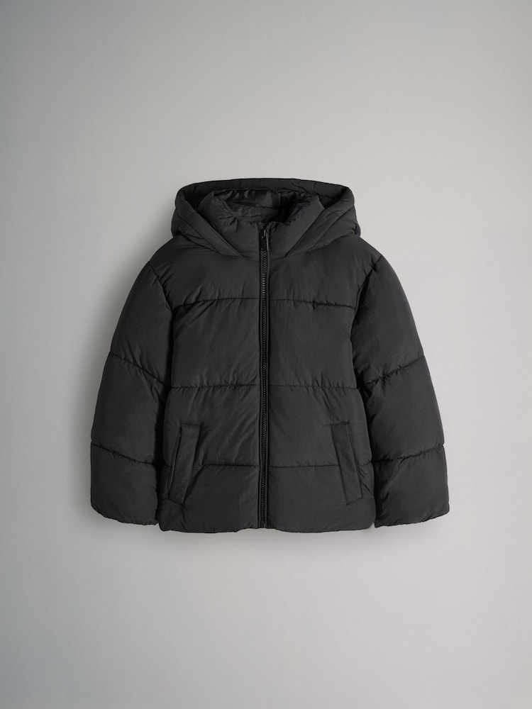 The Set Short Padded Coat Black - Image 1 of 1 The Set Short Padded Coat Black - Image 1 of 1