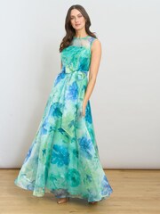 Gina Bacconi Green Amy Printed Organza Maxi Dress - Image 1 of 7