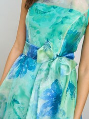 Gina Bacconi Green Amy Printed Organza Maxi Dress - Image 4 of 7