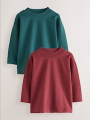 Multi Long Sleeve Turtle Neck T-Shirts 2 Pack (3mths-7yrs) - Image 1 of 6