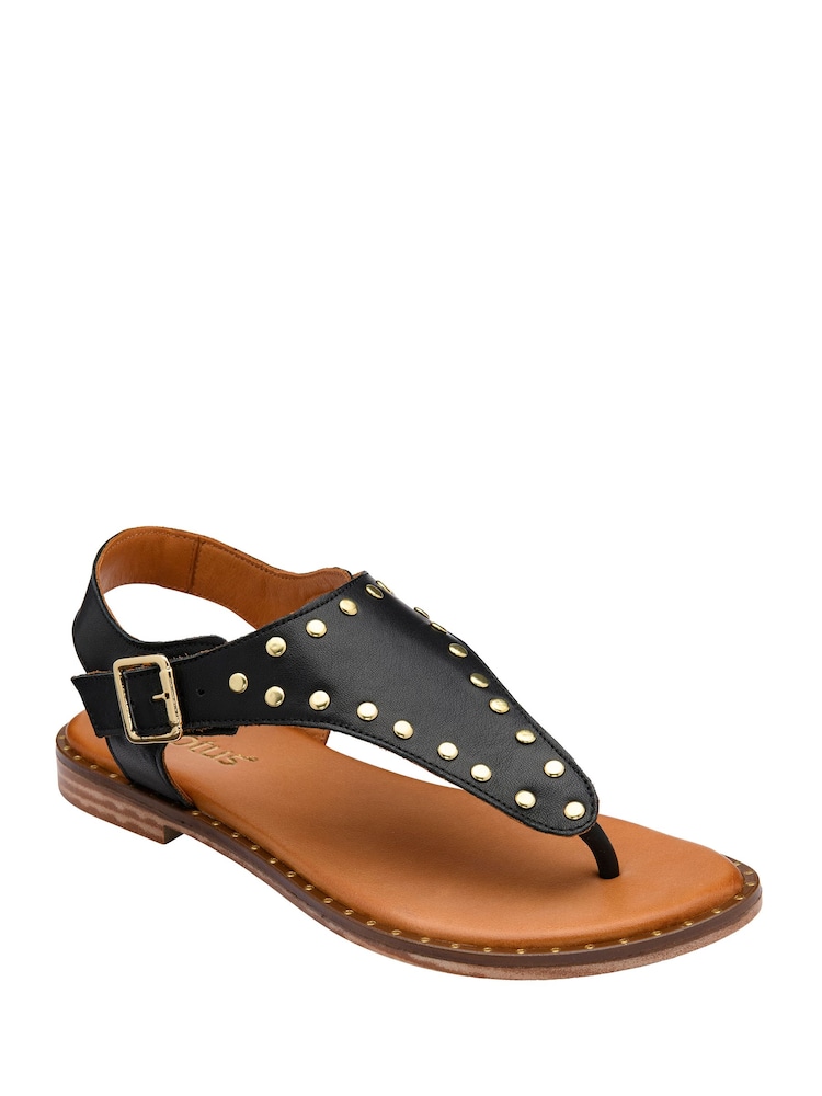 Lotus Black Leather Toe-Post Sandals - Image 1 of 4