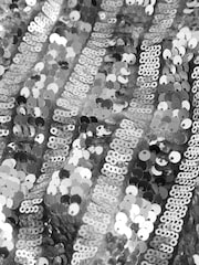 Silver Velvet Sequin Stripe Pull On Wide Leg Trousers - Image 8 of 8