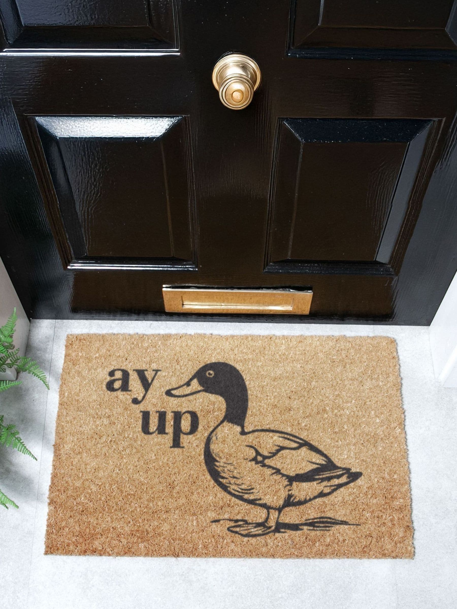 Artsy Mats Natural Black Ay Up Duck Doormat