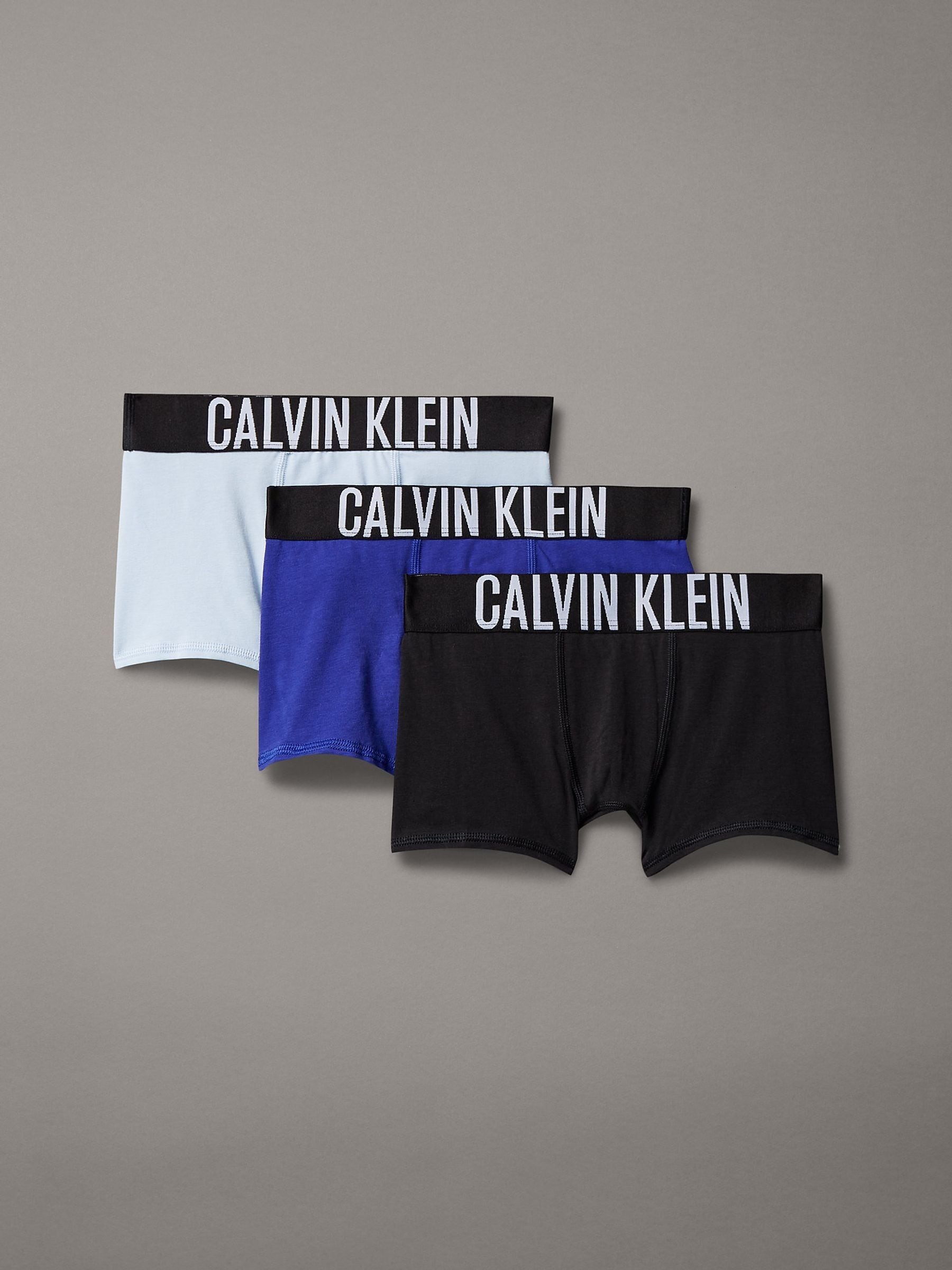 Next：日本 ブラック Ground - Calvin Klein Intense Power ボクサー
