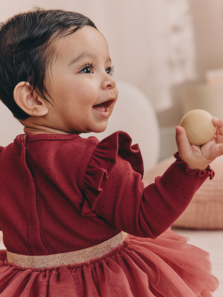 burgundy infant dress Buy Mesh Baby Long Sleeve Tutu (0mths-2yrs) from Next USA Birthday dress