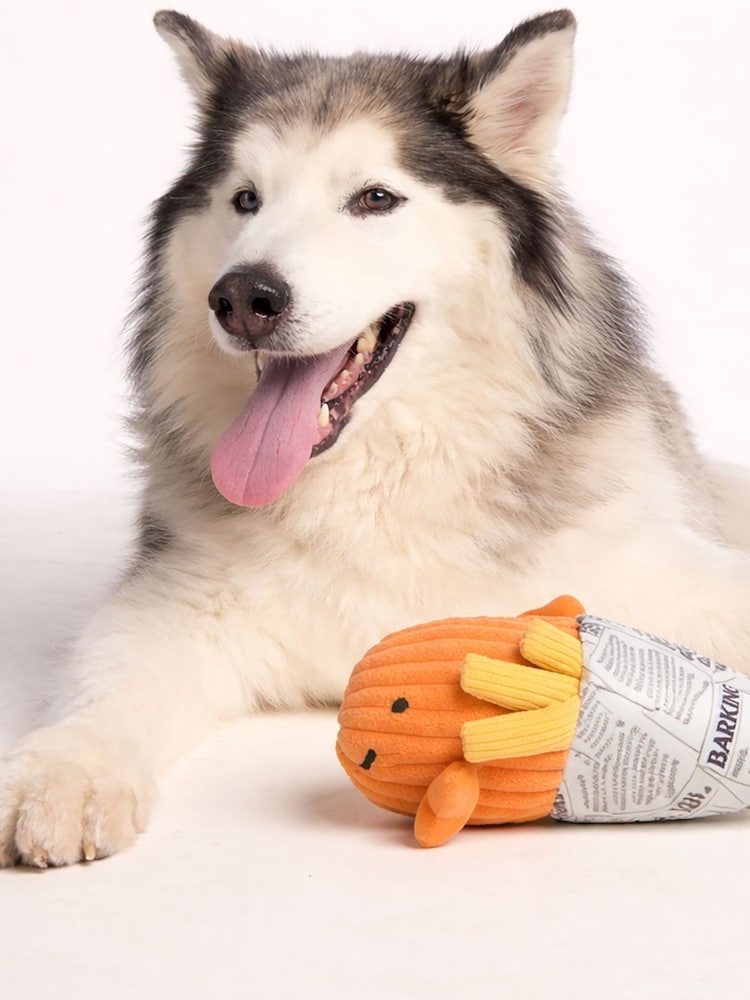 Tog 24 Orange Finny Fish Dog Plush Toy - Image 2 of 2