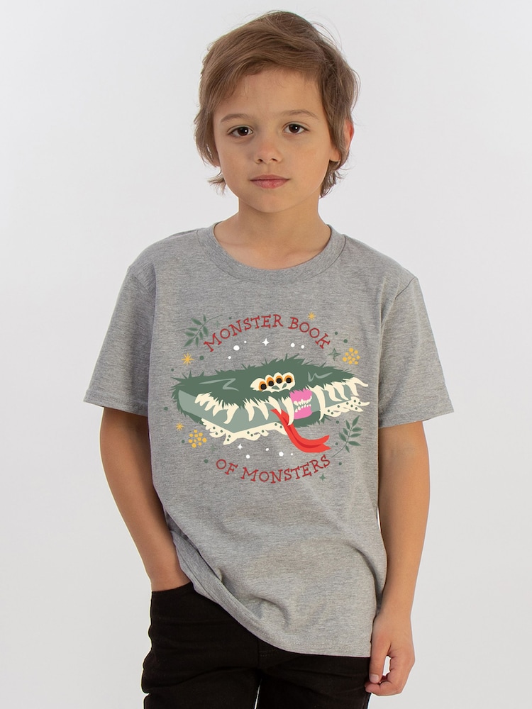 Brands In Grey Harry Potter Monster Book T-Shirt - Image 1 of 5