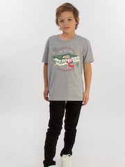 Brands In Grey Harry Potter Monster Book T-Shirt - Image 2 of 5