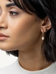 Set de cercei cu inimă și perlă Radley Pale, pachet dublu - Imaginea 1 din 4