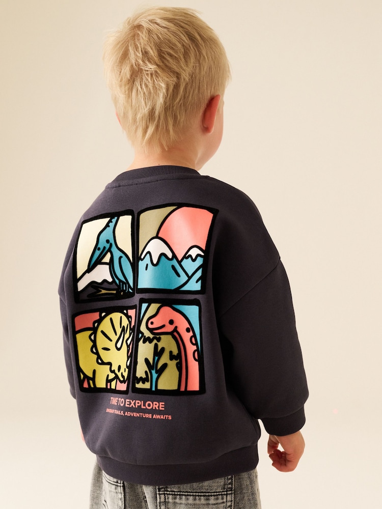 Dark Grey Dinosaur Back Printed Crew Neck Sweat Top (3mths-7yrs) - Image 1 of 4