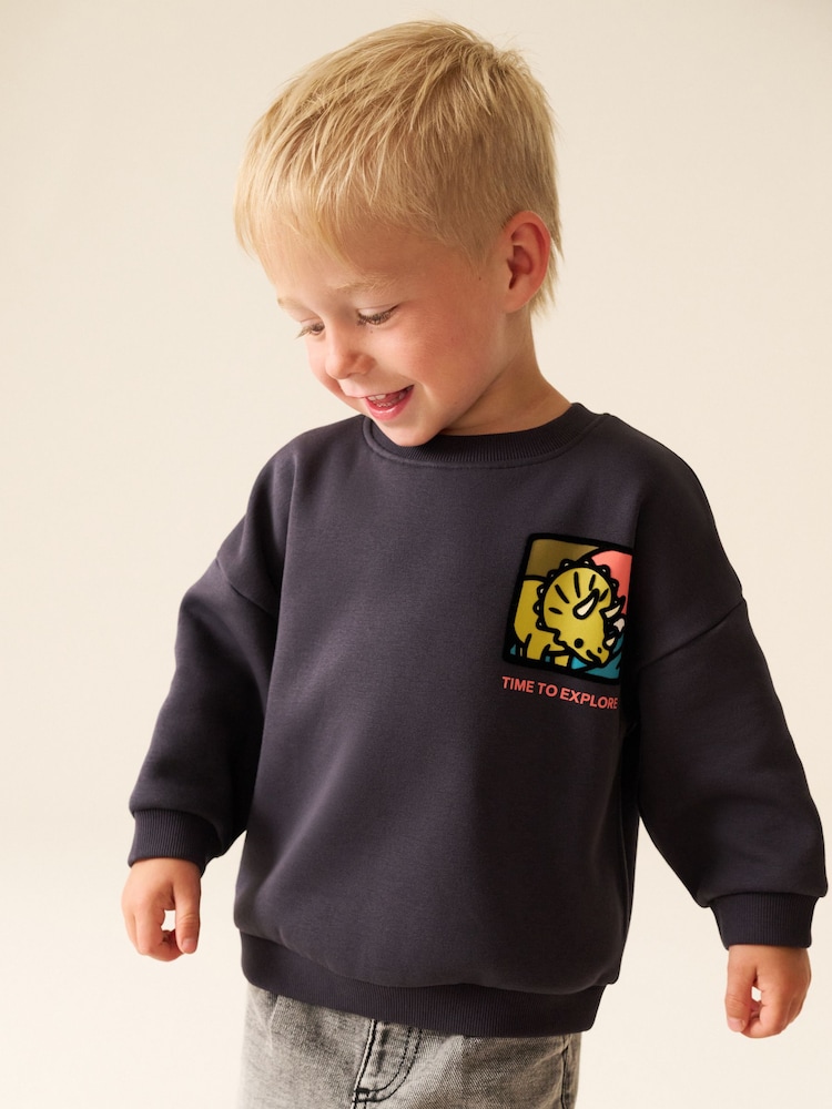 Dark Grey Dinosaur Back Printed Crew Neck Sweat Top (3mths-7yrs) - Image 2 of 4