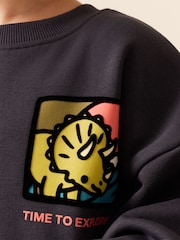 Dark Grey Dinosaur Back Printed Crew Neck Sweat Top (3mths-7yrs) - Image 4 of 4