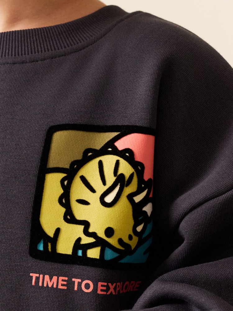 Dark Grey Dinosaur Back Printed Crew Neck Sweat Top (3mths-7yrs) - Image 4 of 4