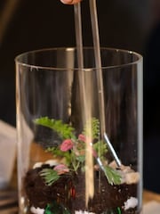 Virgin Experience Days Create Your Own Terrarium with Cocktail For 2 - Image 4 of 4