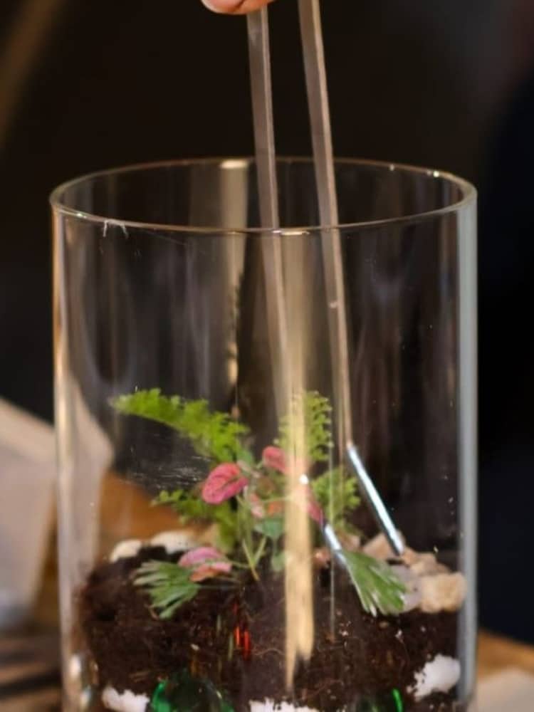 Virgin Experience Days Create Your Own Terrarium with Cocktail For 2 - Image 4 of 4