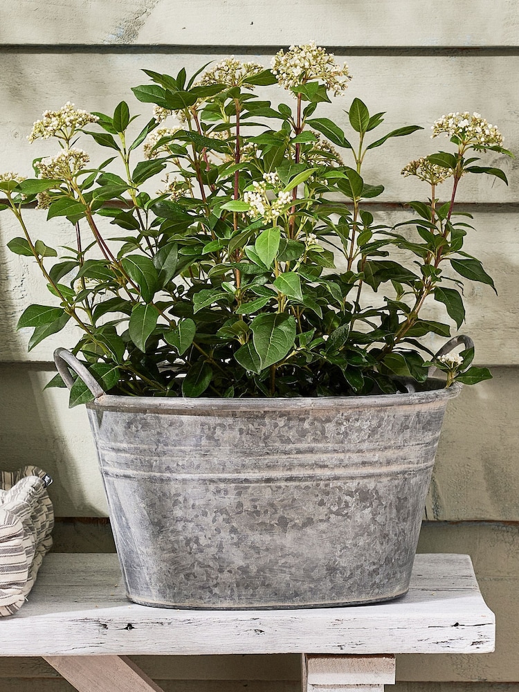 Dibor Silver Galvanised Tub Planter - Image 1 of 6