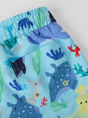 Polarn O. Pyret Sky Blue Striped Swim Shorts - Image 3 of 3