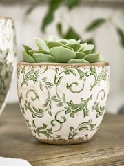 Dibor Green Botanical Plant Pot - Image 1 of 4