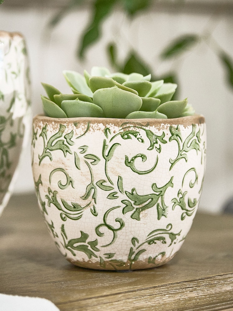 Dibor Green Botanical Plant Pot - Image 1 of 4