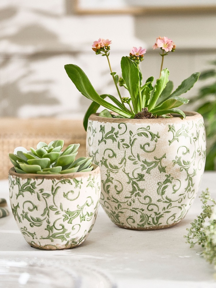 Dibor Green Botanical Plant Pot - Image 4 of 4