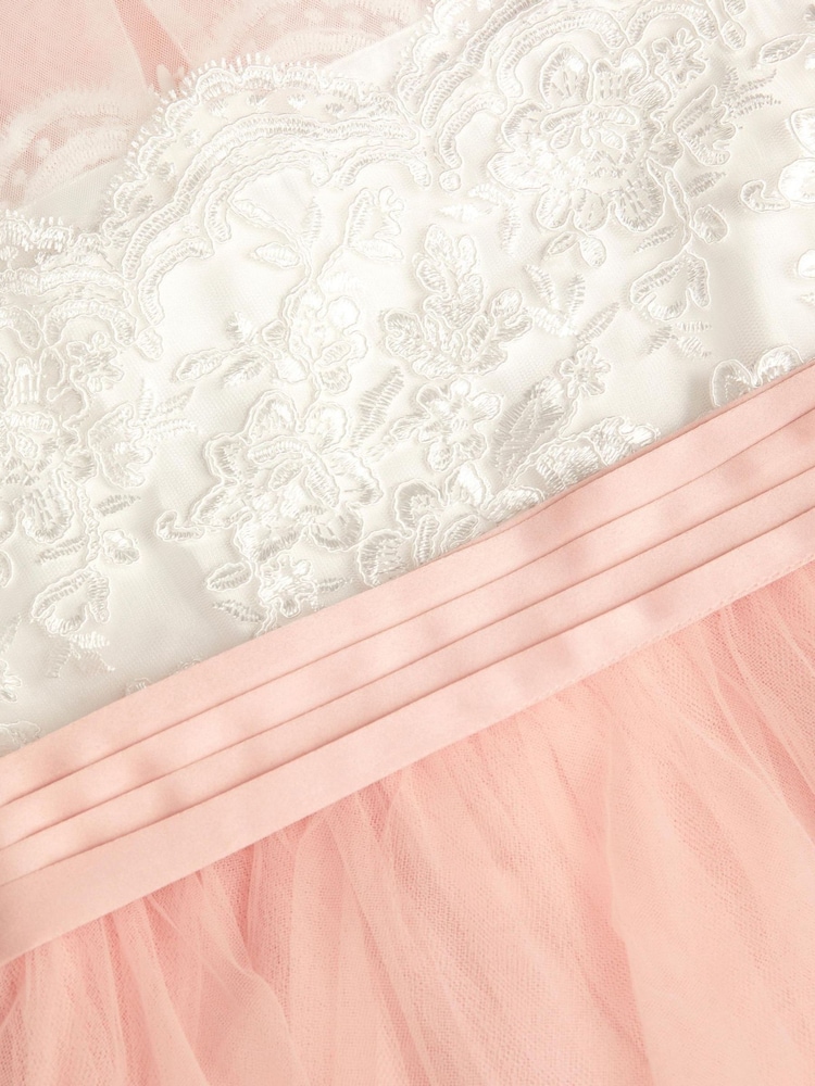 Monsoon Pink Cynthia Strapless Lace Maxi Dress - Image 5 of 5 Monsoon Pink Cynthia Strapless Lace Maxi Dress - Image 5 of 5