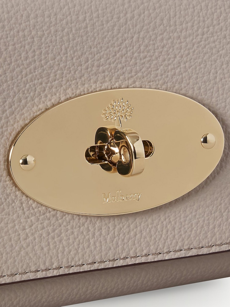 Mulberry Cashmere Taupe Lily Chain Wallet - Image 5 of 5