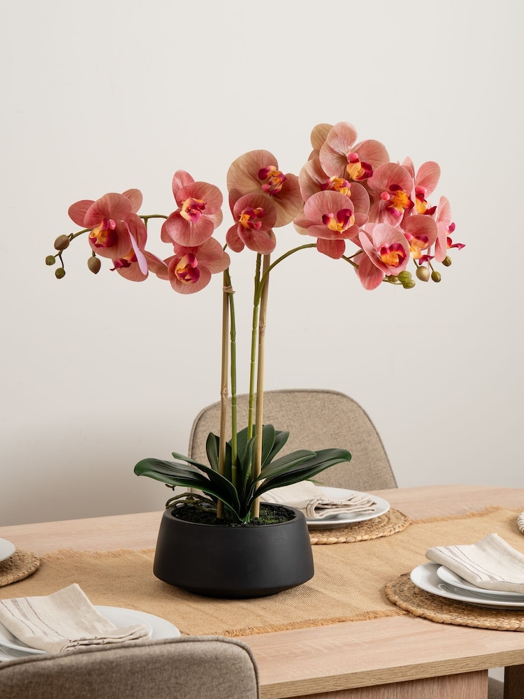 Scottish Everlastings Ltd Pink Faux Phalaenopsis Spray in Pot - Image 1 of 3