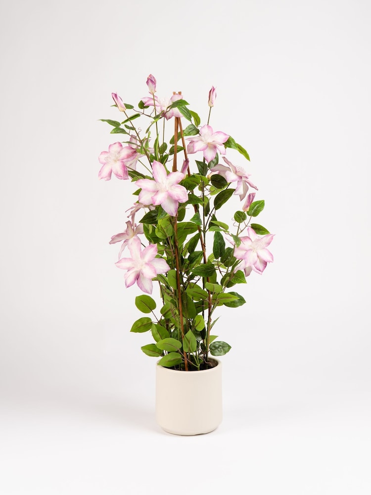 Scottish Everlastings Ltd Pink Faux Climbing Clematis in Pot - Image 3 of 3