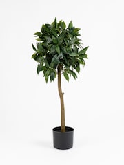 Scottish Everlastings Ltd 2 Pack Green Faux Bay Tree in Pots - Image 4 of 4