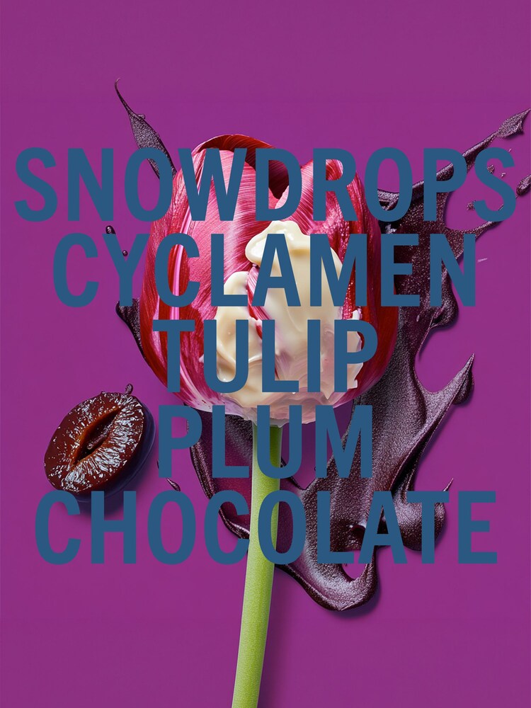 Shay & Blue Black Tulip Fragrance 10ml - Image 3 of 3