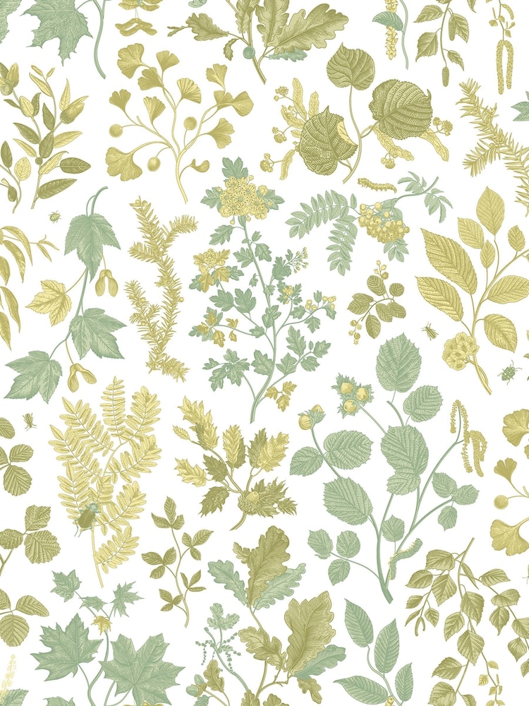 Hoopla Walls Olive Mix Botanical Leaves A4 Wallpaper Sample - Image 1 of 1