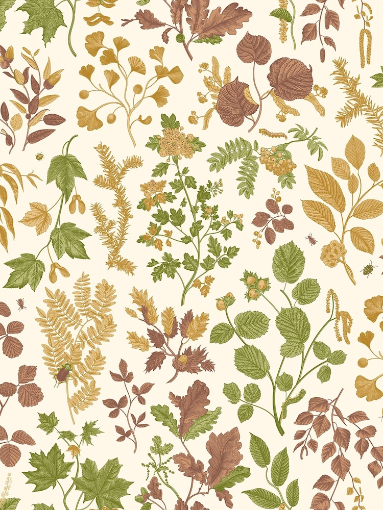 Hoopla Walls Ginger Olive Botanical Leaves A4 Wallpaper Sample - Image 1 of 1