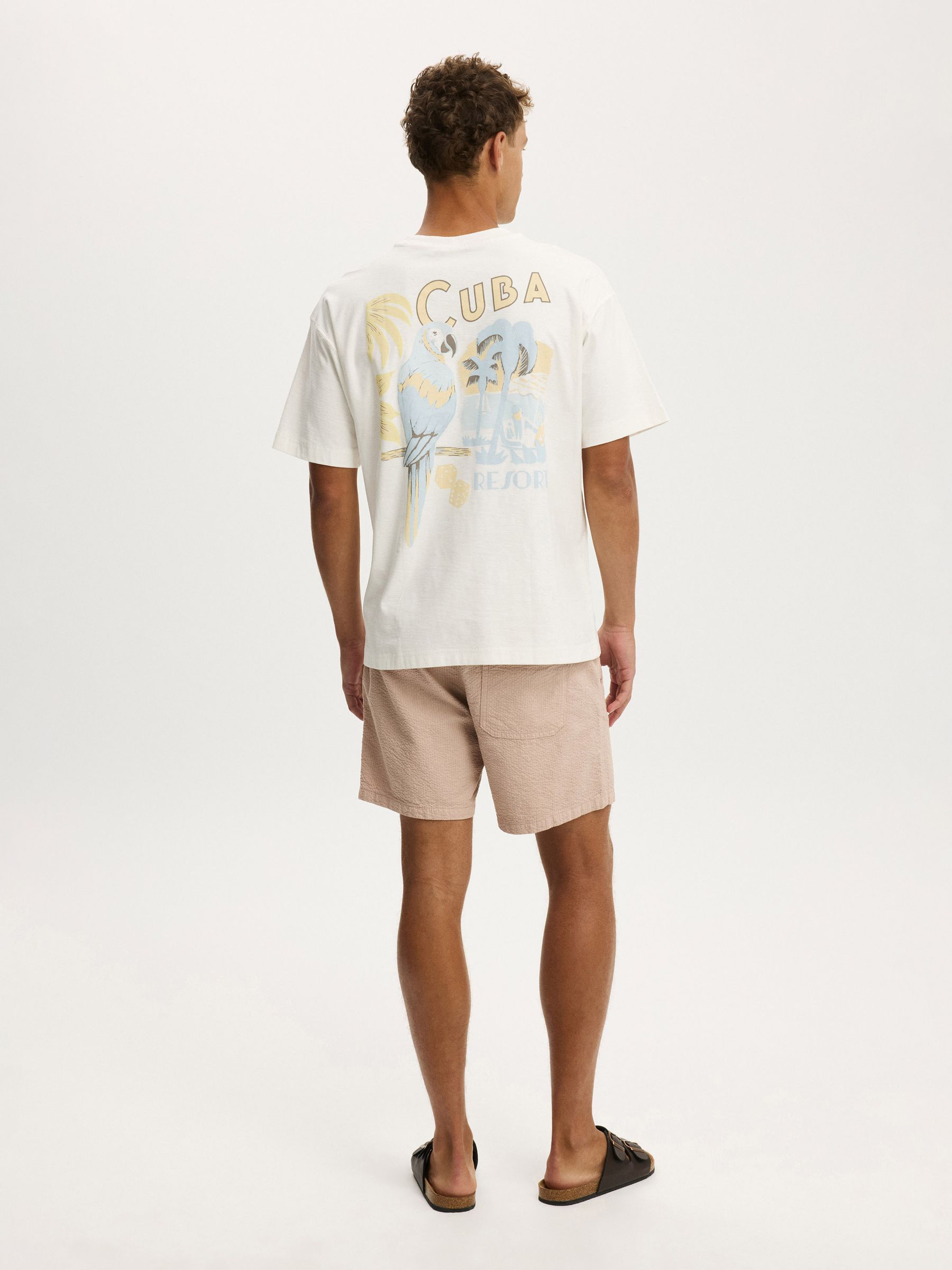 Buy Cotton On Dusty Clay Seersucker Easy Shorts from the Next UK