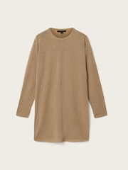 AllSaints Brown Tillii Mini Dress - Image 6 of 6