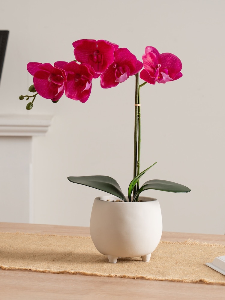 Scottish Everlastings Ltd Pink Artificial Orchid in Cement pot - Image 1 of 3