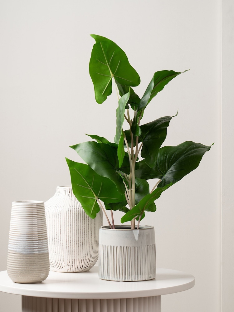 Scottish Everlastings Ltd Green Artificial Typhonium Plant - Image 1 of 3
