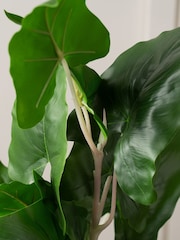 Scottish Everlastings Ltd Green Artificial Typhonium Plant - Image 2 of 3
